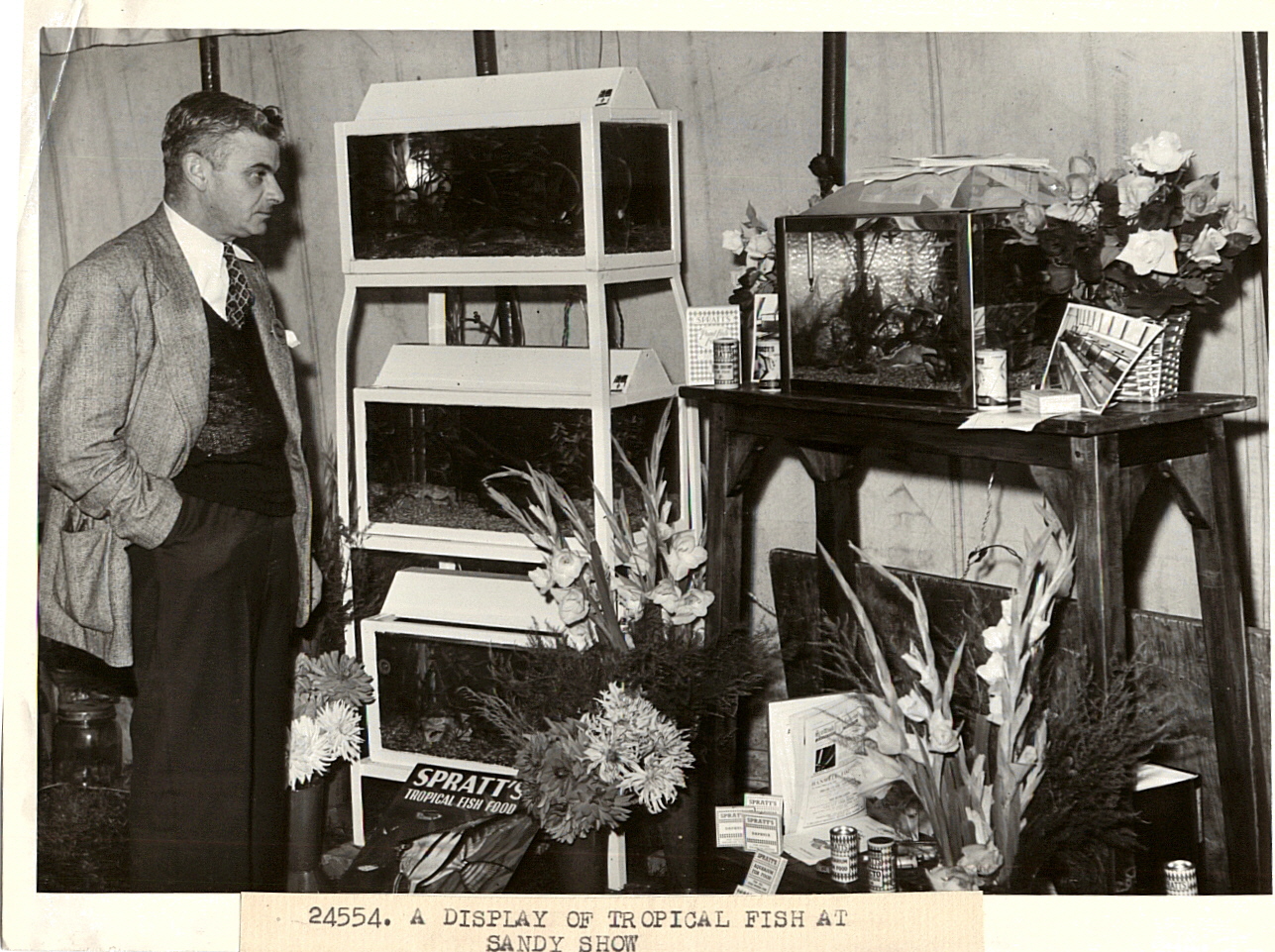 Aquatics on Display 1950s