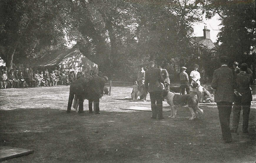 Elephant at the Sandy Show c1920s